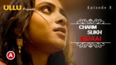 https://webxseries.com.co/wp-content/uploads/2023/05/Bidaai-E5.webp